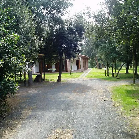 Apartman Il Vivaio